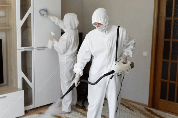 Mold Removal and Inspection in Erie, PA