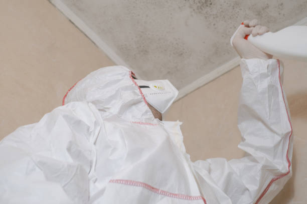 Best Mold Removal Specialists  in Erie, PA