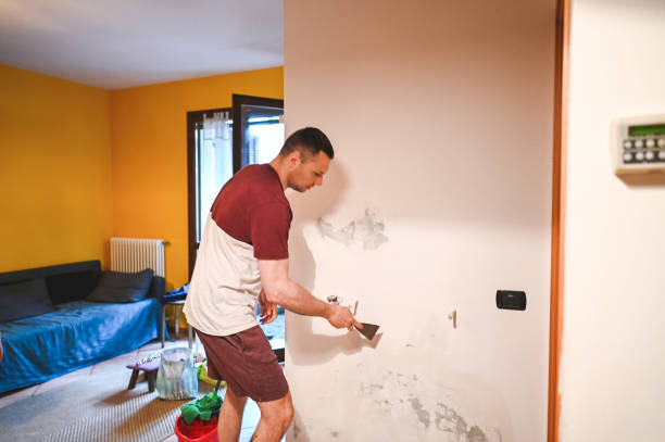 Reliable Erie, PA Mold Removal Solutions